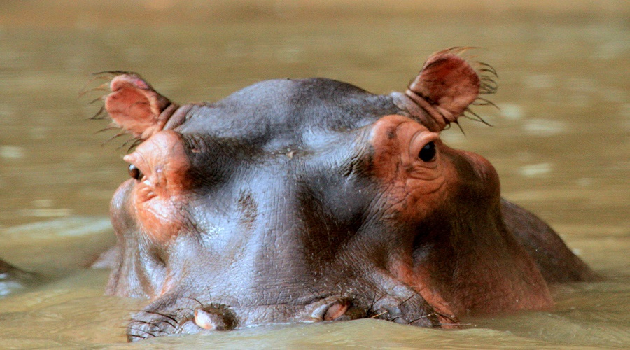 Lake Manyara National Park